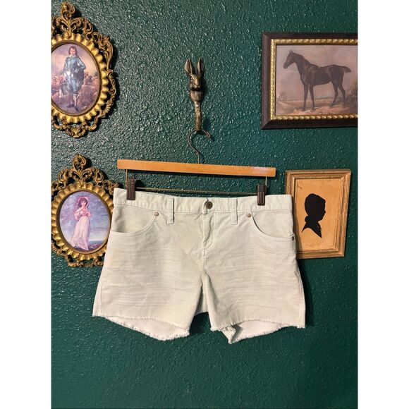 Carve Designs Pants - Carve Designs Oahu Shorts Size 4 Mint Green